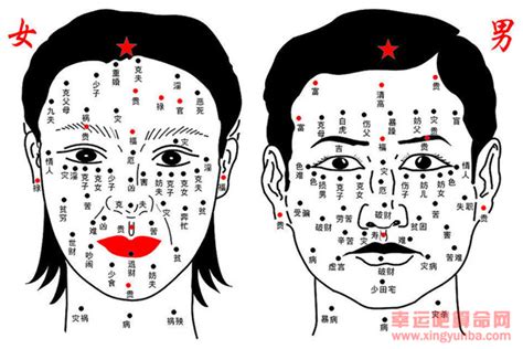 男人法令有痣|《麻衣神相》白话图解【相 法令纹】34种法令纹运势